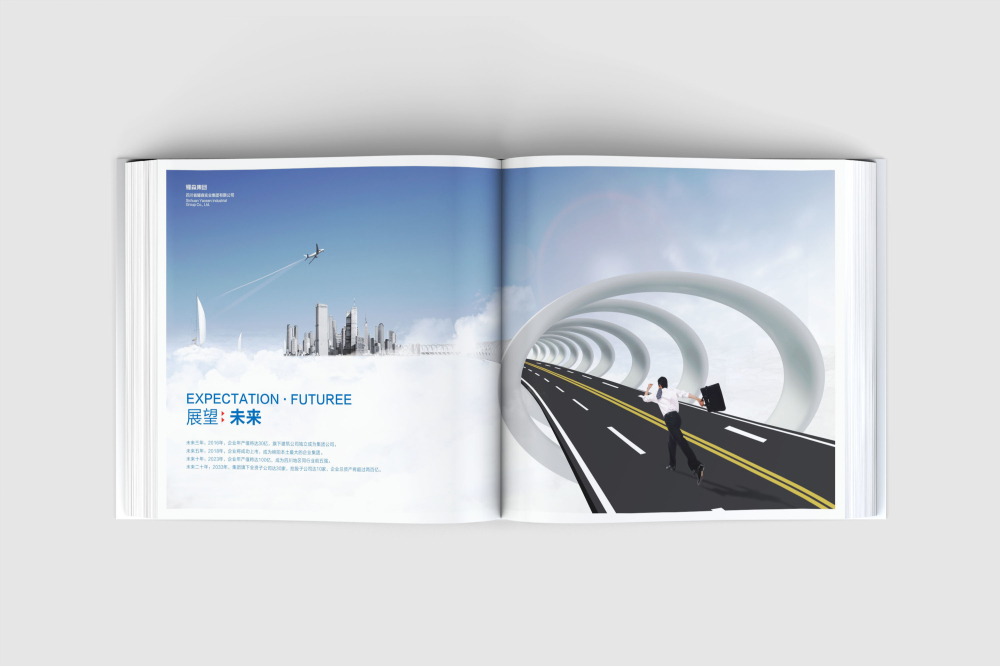 平顶山画册设计